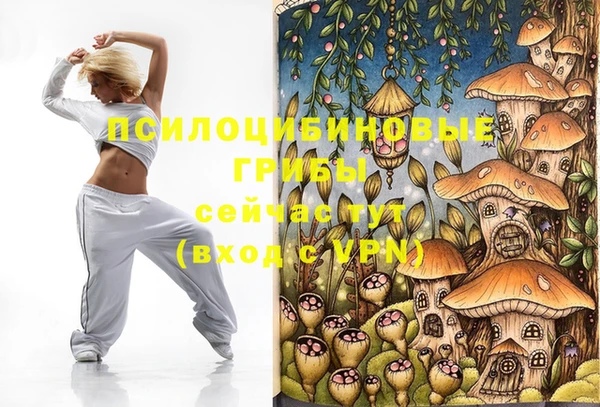 apvp Магадан
