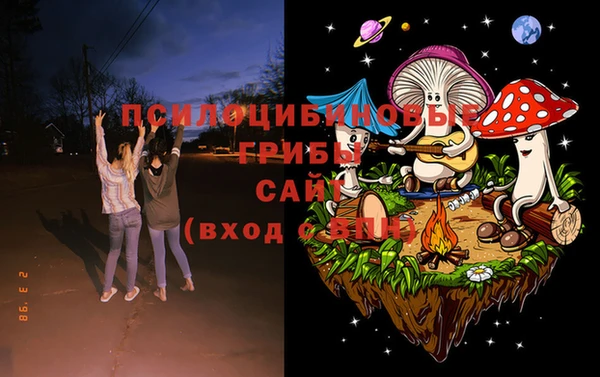тгк Лиски