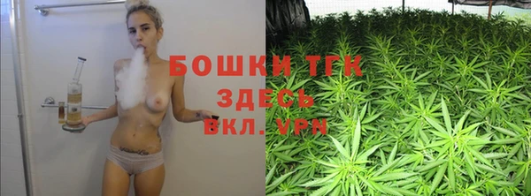 тгк Лиски