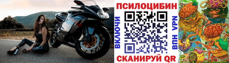 Псилоцибиновые грибы Cubensis  как найти закладки  Коломна 