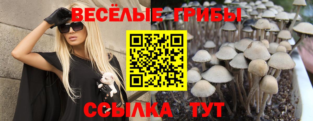 Коломна  Галлюциногенные грибы мухоморы  Вход с VPN 