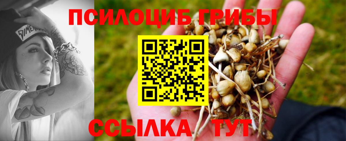 Мефедрон  А ПВП  МАРИХУАНА  КОКАИН  Наркошоп  Коломна  Вход с VPN 